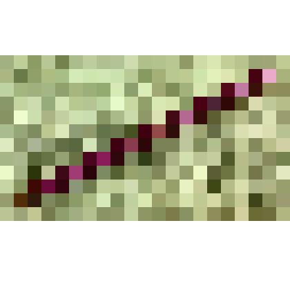 Карандаш графитный чертежный «Дерби» Миловидова Бориса Васильевича, саратовского художника-графика, из коллекции документальных, фотографических и вещевых материалов о Миловидовой Инне Борисовне (1929-2009), кандидате биологических наук, преподавателе био