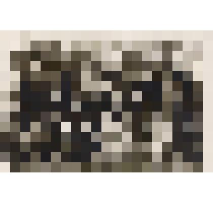 Фото Коллектив работников комбината бытовых услуг