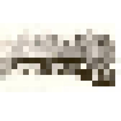 Фотография: бойкая торговля на празднике по окончанию посевной в роще колхоза имени Чапаева Каменского района Алтайского края