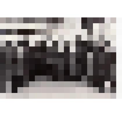 Фотография. Челябинская делегация в  г. Москва, на ХХIV съезде КПСС