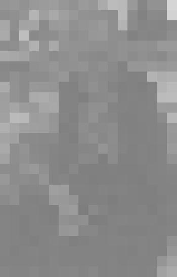 Фото. Маяковская А.А. на В.С.Х.В