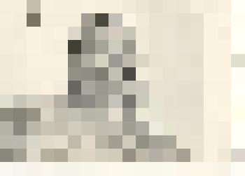 Фотография: Никитина Татьяна Сергеевна, свинарка колхоза им. Мичурина Каменского района