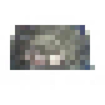 Клише рисунка чека Натурсоюза «Разум и совесть» (реверс)