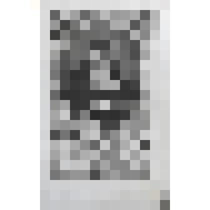 Портрет проповедника Хаака