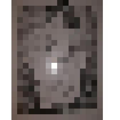 «Студентка»