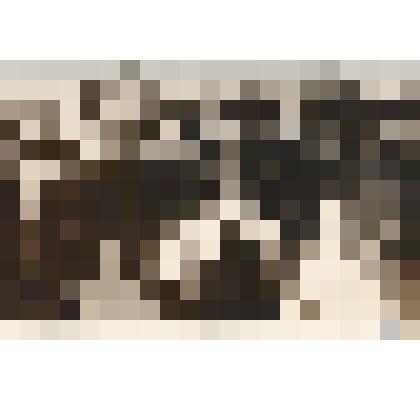 Фото День Победы