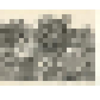 Фотография: сбор нового урожая на станции юных натуралистов, г.Камень-на-Оби