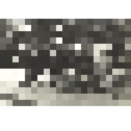 Фотография "Возложение цветов к Вечному огню"