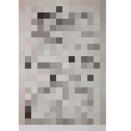 Газета «Сарапульский листок объявлений» №65 за  13.12.1901 г