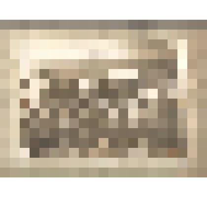 Ф/чб/п. Группа участников  2-го Пленума ЦК Союза Медсантруд центра г. Москва, в т.ч. Полянский Лев Николаевич (3 ряд 9 справа). 1940