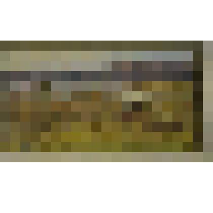 «Озеро Перово». Картина