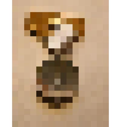 Значок "Чемпион. Первенство области РСФСР"