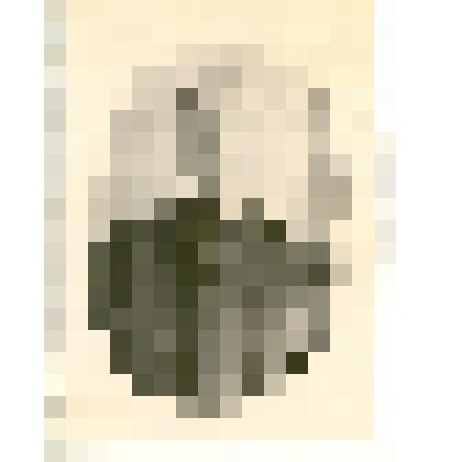 Фотография: Супруженко Александр Максимович, бывший партизан из отряда И.В.Громова