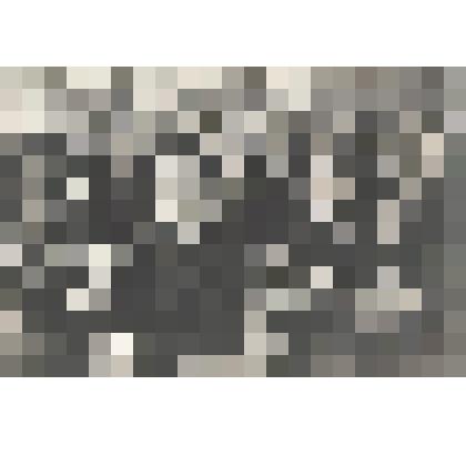 Фотографии. Фото. Шушеначев И.В. на Всесоюзном совещании секретарей ЦК и советов профсоюзов в большом зале заседаний ВЦСПС