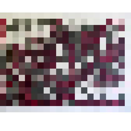 Иллюстрация к киргизским народным песням. Лист 4. Десятая муха