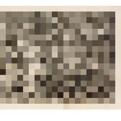 В тюрьме Брайдуэлл. Лист IV из серии"Карьера шлюхи". 1732, из альбома «The Works of William Hogarth»