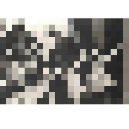 Фотография. Танцевальный коллектив "Нөргөдөй"