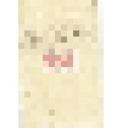 Письмо Д. Каргаполова Мартьянову с уведомлением    о    возврате    книг    в библиотеку   и    отправке   пяти   своих брошюр, о местных новостях, просьбой сообщить,  как  прошла экспедиция по Минусинскому округу