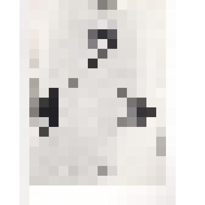 Репродукция с картин