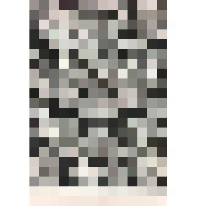 Иллюстрация. Таблица № 97. Выпуск "19-20".
 Из комплекта таблиц "Красота форм в природе"