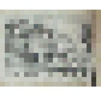 Стрельна. Мыза на Финляндском заливе. Вид на дворец в Стрельне