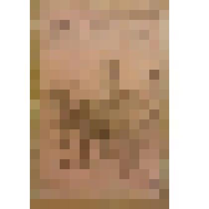 Книга. Савихин В.И. Два соседа [Text] / Рис. Л. Дитерихса / Издательство не указано. - М. : Издательство "Посредник" (№ 62), 1888 (Товарищество И.Д.Сытина)