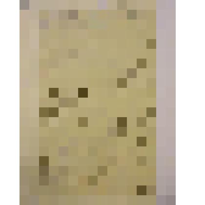 Письмо к А.К. Чертковой