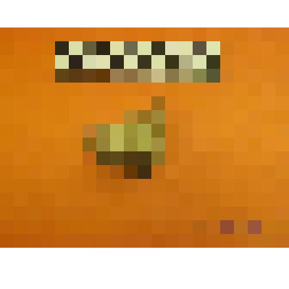 нуклевидное изделие из камня