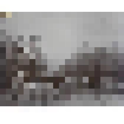 Фотография. Провес воздушной телефонной линии в Одессе после гололеда