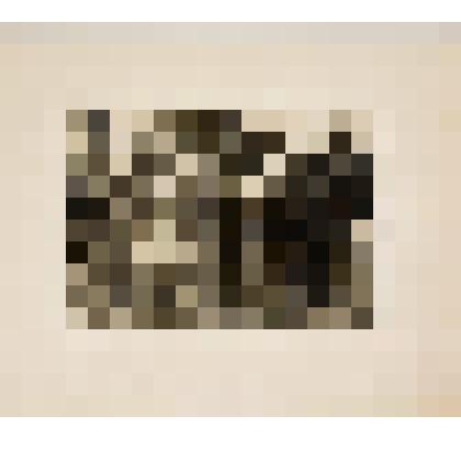 Литовский замок