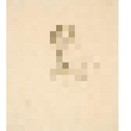 Портрет начальника штаба майора Иванцова