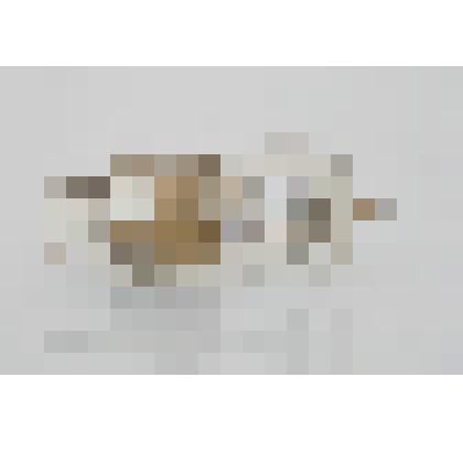 Приемно-усилительная лампа "Л.Э.1"