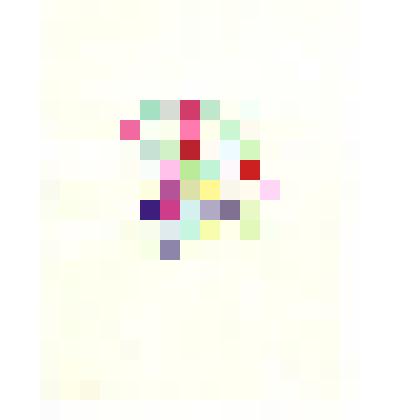 Два плода граната и цветы