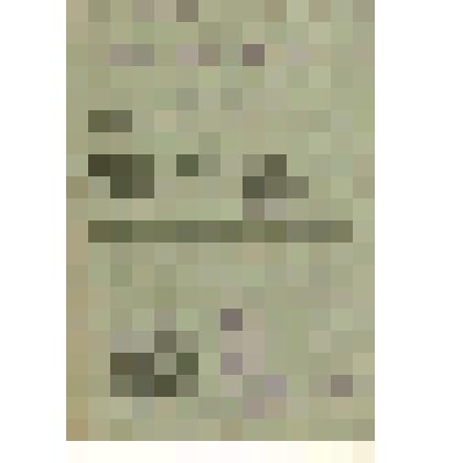 Заявление-анкета Шалагина С.Н