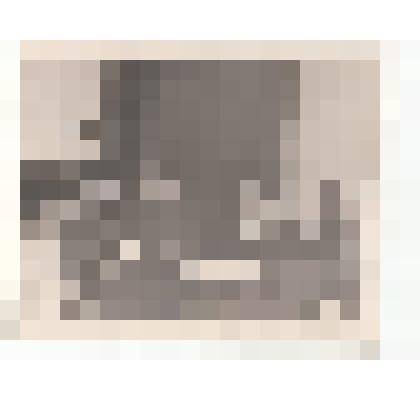 Фото/чб. Костин Иван Степанович,  директор ВОЛЖНИИГИМ (2 справа) с делегацией из Китая(переговоры о сотрудничестве). Энгельс. 1960-е