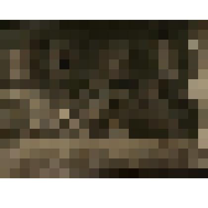 Фотография групповая. "Школьники и учителя начальной школы № 1 около здания школы"