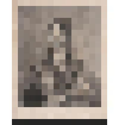 Графика. Портрет Фридриха Герберта, графа Минстера