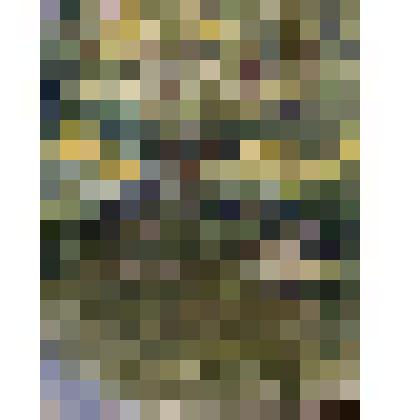 Рисунок. Пейзаж