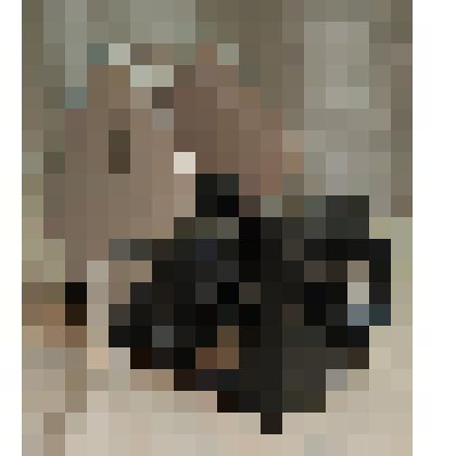 Диапроектор "Ф75-1М"