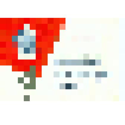 Свидетельство Пьянкова Ивана Ивановича о занесении в Книгу Почета за большую работу по коммунистическому воспитанию молодежи в честь 50-летия со дня присвоения комсомолу имени В.И.Ленина