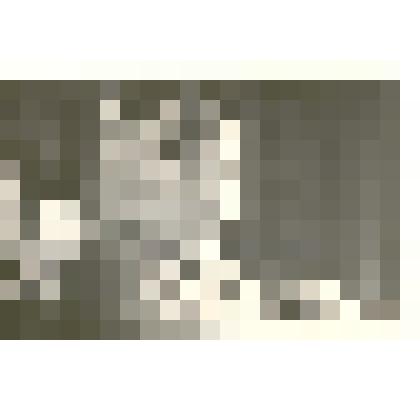 Фотография: районное совещание колхозников. Выступает доярка колхоза имени Ленина Бабанова Н.И