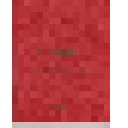 Диплом лауреата II городского фестиваля Добровольского Н.Г