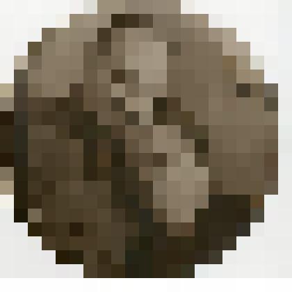 Фотография. Павел Семенович и Анна Ефимовна Жуковы