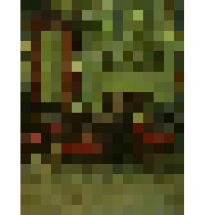 Картина. Интерьер