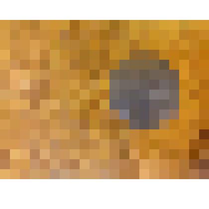 МОНЕТА "5 КОПЕЕКЪ"