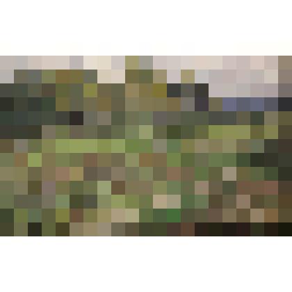 Картина. В сентябре