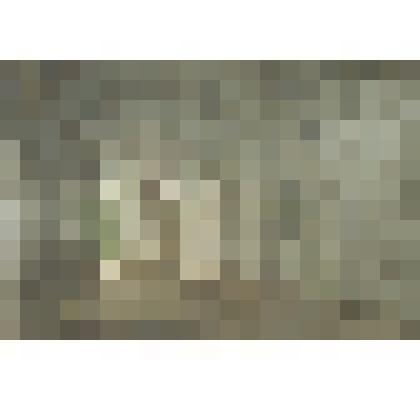 Трубников Дмитрий Алексеевич "В храме"