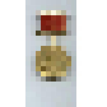 Медаль "За доблестный труд в ознаменование 100-летия со дня рождения В.И. Ленина" Алексеева В.В