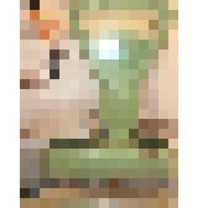 Весы торговые РН - 10Ц12У