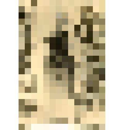 Фотография: Памятник А.В. Кольцову в Кольцовском сквере. г. Воронеж. Фото Н.С. Варламова